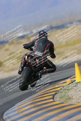 media/Mar-12-2023-SoCal Trackdays (Sun) [[d4c8249724]]/Turn 11 Backside (10am)/